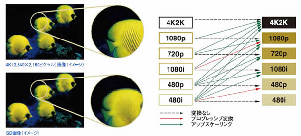 ��������4K���g