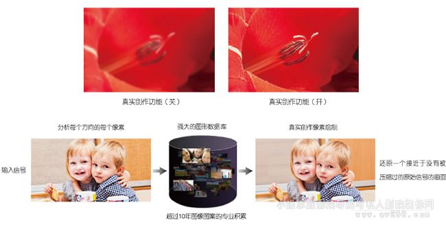 ����ͶӰ�C(j��)�挍(sh��)��(chu��ng)������