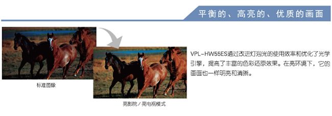 ����HW55ES��(y��u)�|(zh��)����