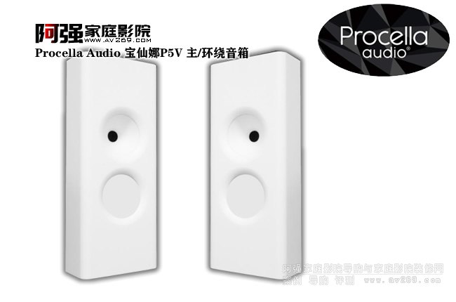 Procella Audio ������P5V �ڒ���/�h�@����