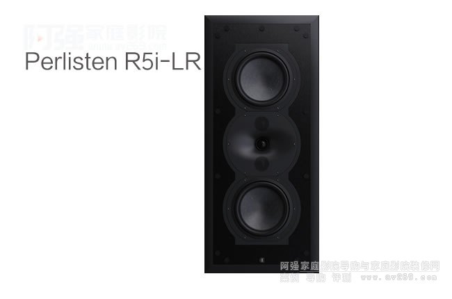 �����ۃ�Perlisten R5i-LR�뉦����