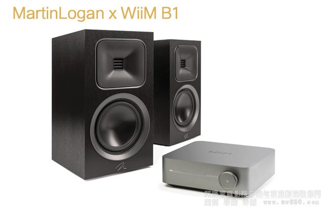 �R���J��Motion Foundation B1 x Wiim �Ŵ������b